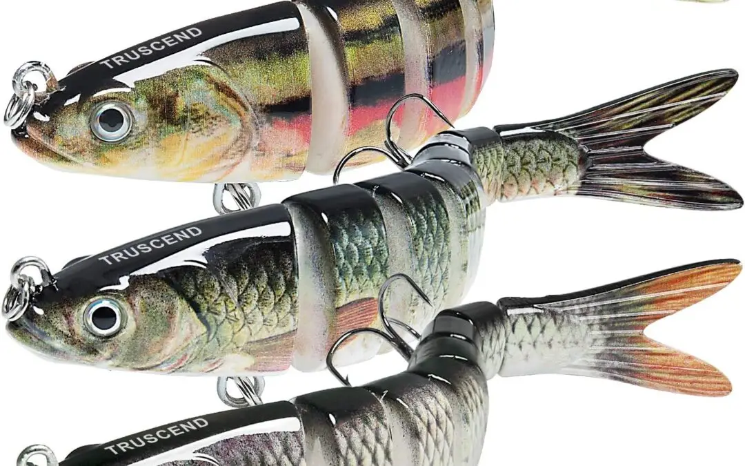 Reel in More Fish: Discover the TRUSCEND Easy Catch Swimmax!