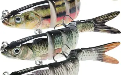 Reel in More Fish: Discover the TRUSCEND Easy Catch Swimmax!