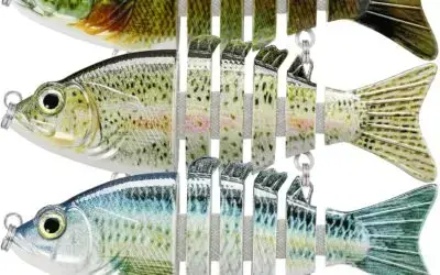 Catch More Fish: TRUSCEND Easy Catch Swimmax Review